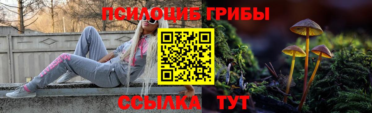 Ртищево  Галлюциногенные грибы MAGIC MUSHROOMS  Вход с VPN 