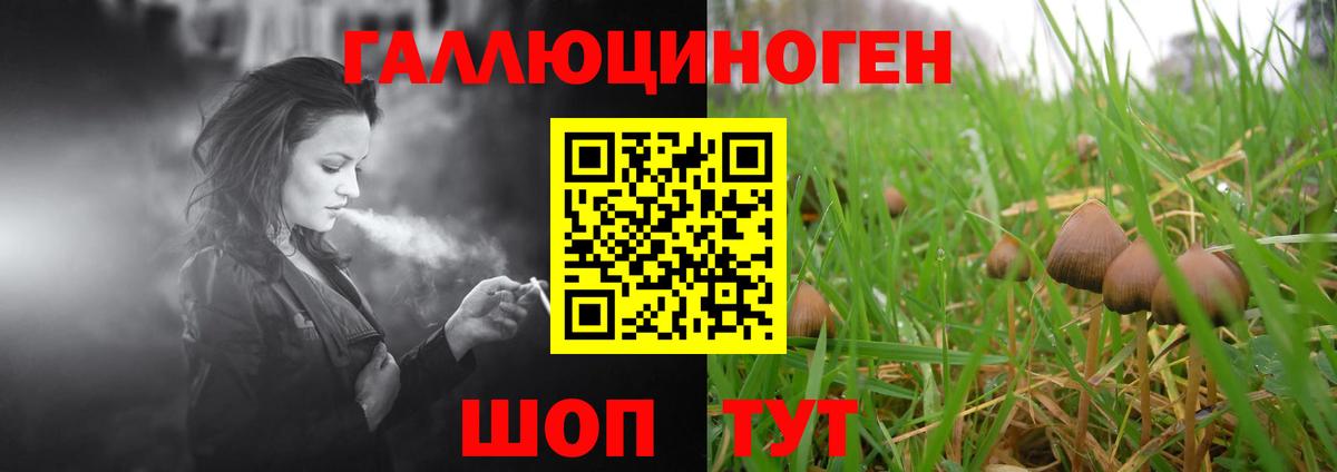 Псилоцибиновые грибы Psilocybine cubensis Ртищево